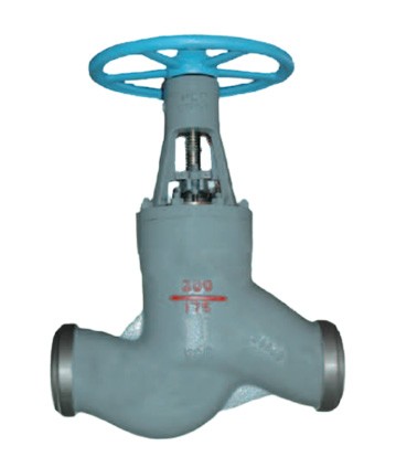 Welded globe valve