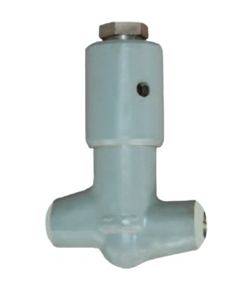 Welded check valve