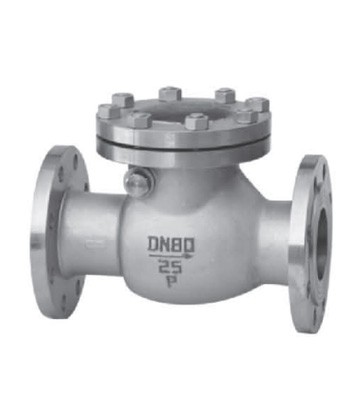 Flanged swing check valve