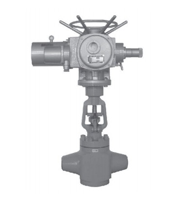 Replaceable Seat Non-Rotating Power Station Globe Valve