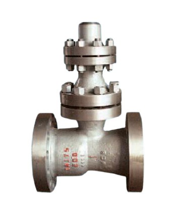 Empty discharge vertical check valve