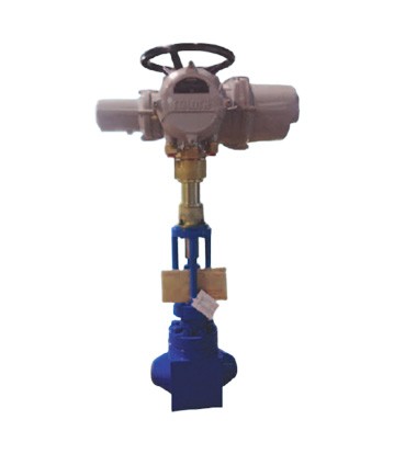 Continuous blowdown control valve